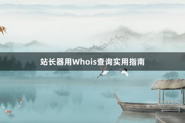 站长器用Whois查询实用指南