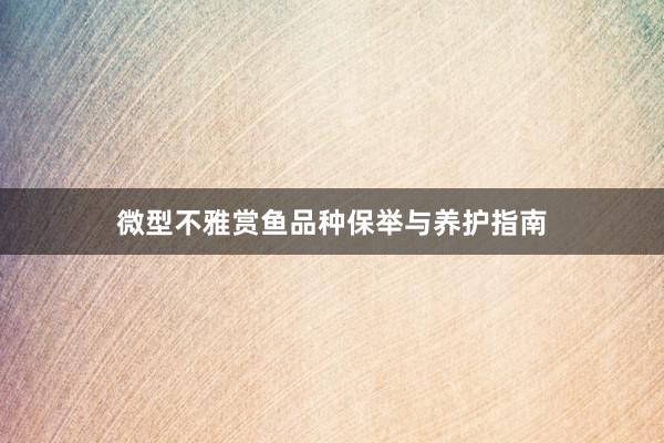 微型不雅赏鱼品种保举与养护指南