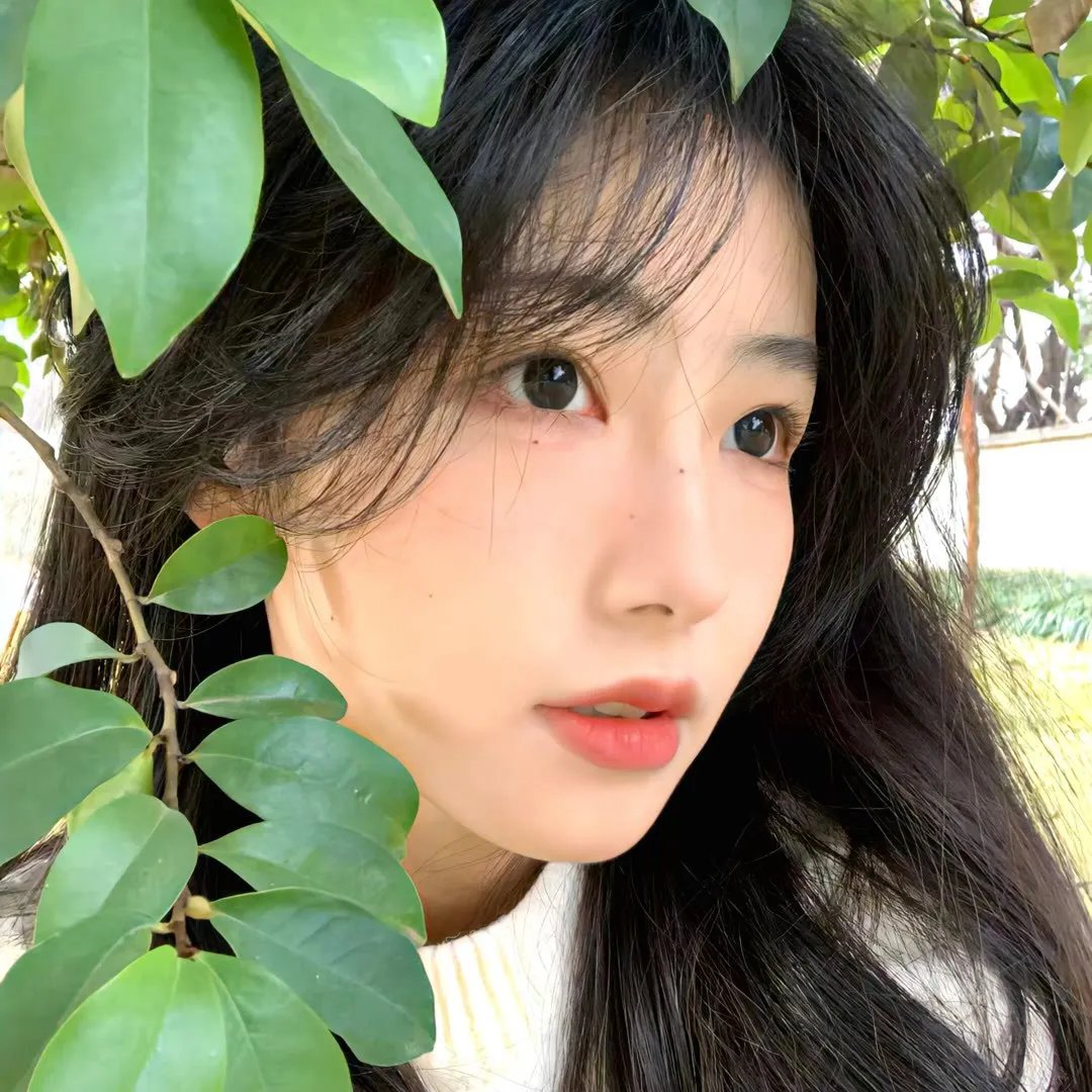 国宝天香